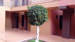 Home sweet home Tenerife south